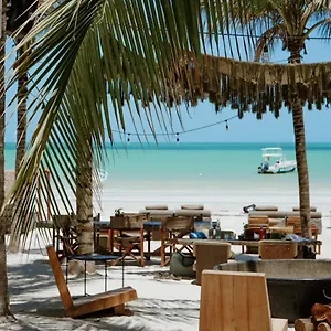 Casa Tortugas Petit Hotel&spa Isla Holbox